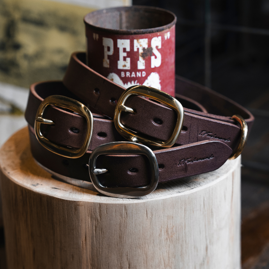 Dog Collar