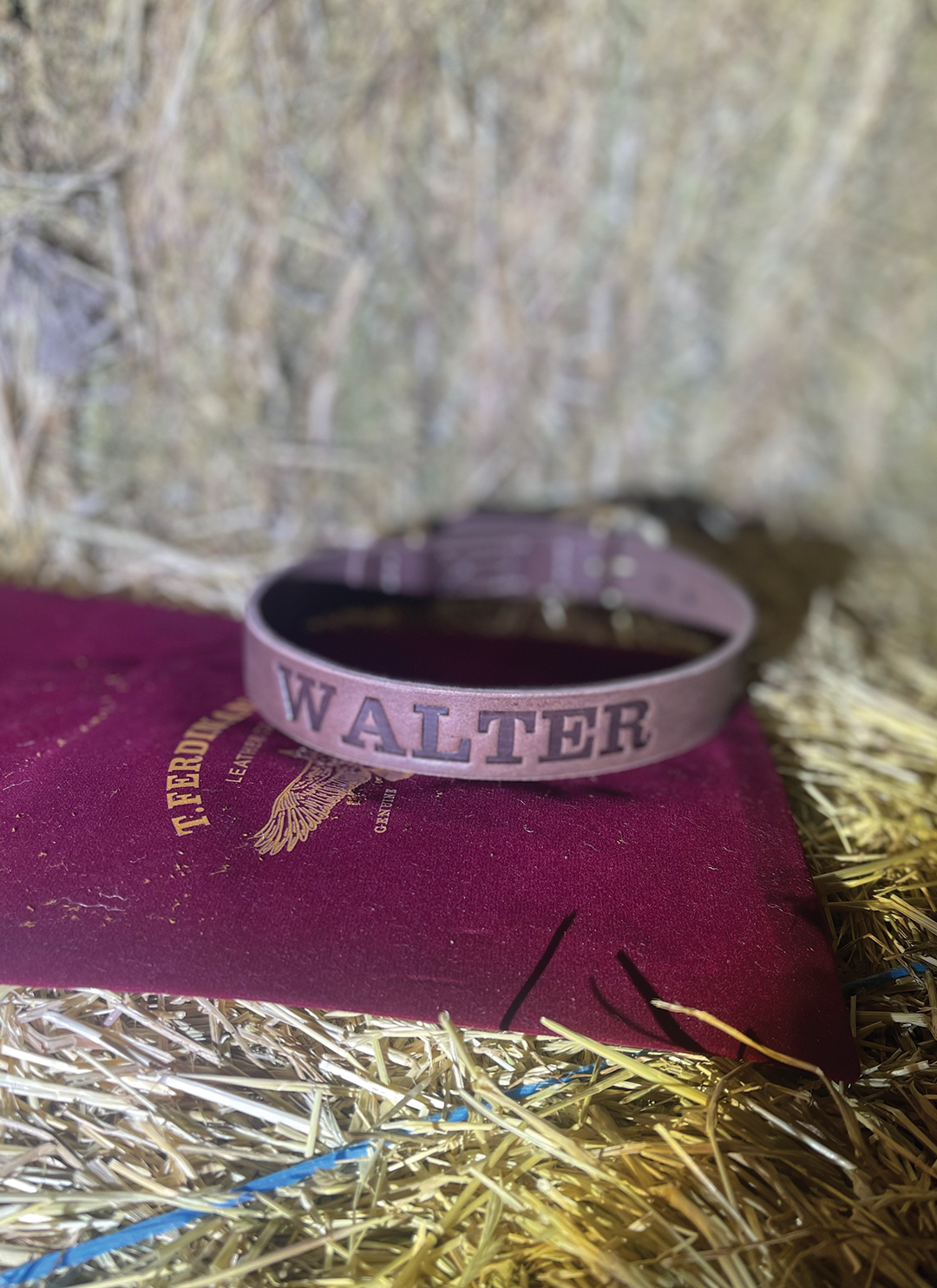 Dog Collar